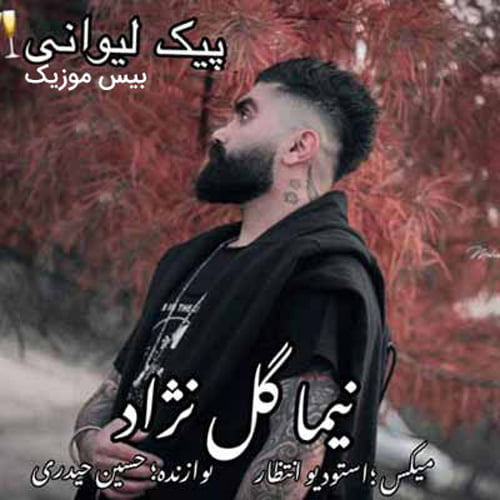 دانلود آهنگ پیک لیوانی از نیما گلنژاد