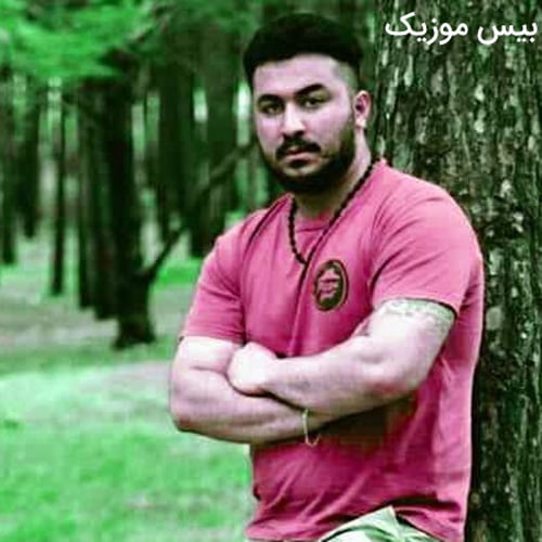 دانلود آهنگ دلم میخواد بال بگیرم برم رو ابرا از رضا کرمی تارا