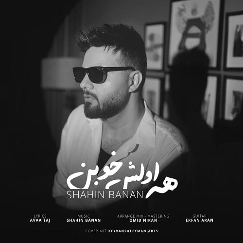 دانلود آهنگ همه اولش خوبن اولش دوست دارن از شاهین بنان