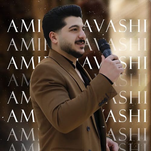 دانلود آهنگ خسته از امیر سیاوشی