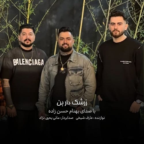 دانلود آهنگ زرشک دار بن از بهنام حسن زاده