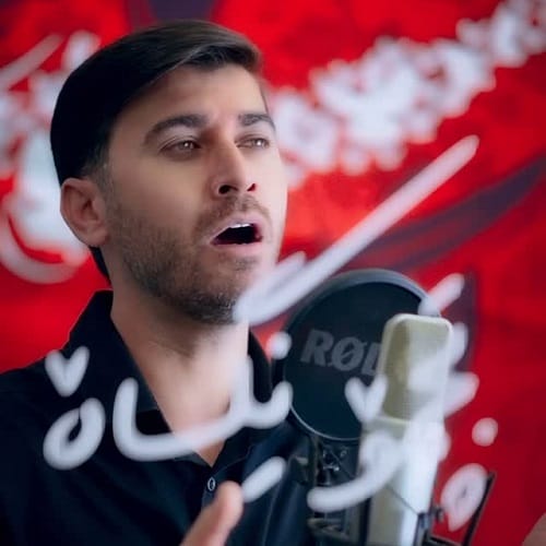دانلود مداحی بازم هوای صحن و سرای کربلای امام حسین از مرتضی باب