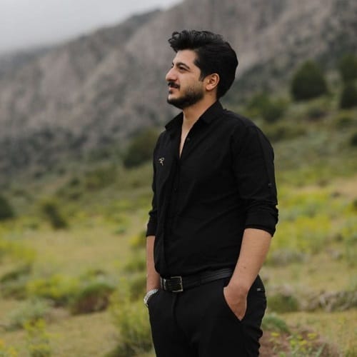 دانلود آهنگ زلف سیاه از امیر سیاوشی