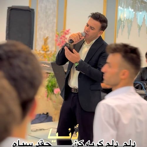 دانلود آهنگ دلم دلم گریه کن دنیا چقدر سیاه از بهنام دولت