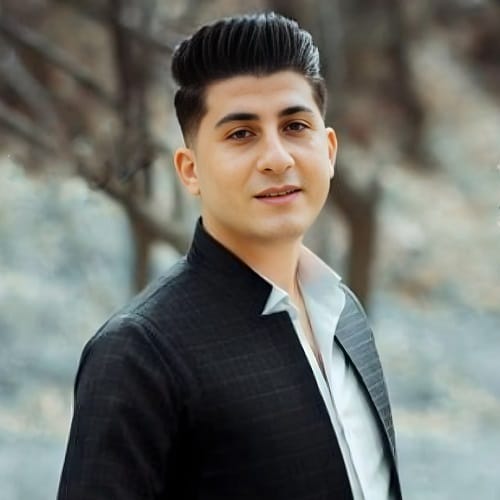 دانلود ریمیکس هو لیلی لیلی از حکیم ویسی