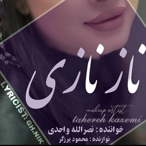 دانلود آهنگ ناز نازی از نصرالله واحدی