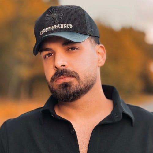 دانلود آهنگ دوستت داشتم از شاهان