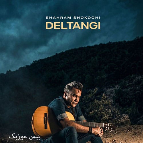 دانلود آهنگ دلتنگی از شهرام شکوهی