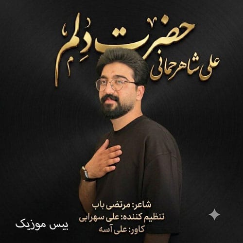 دانلود آهنگ حضرت دلم از علی شاهرحمانی