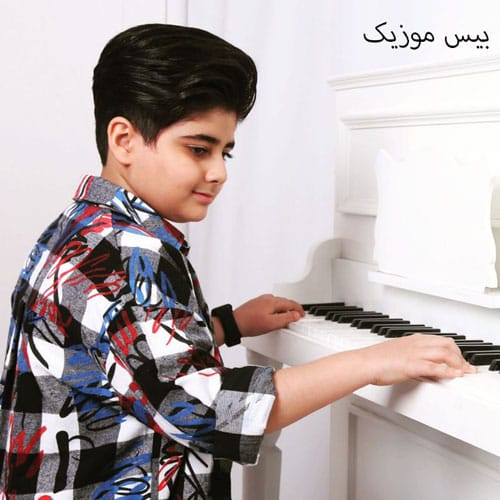 دانلود آهنگ زیبا رو از ایلیا صباغ (دانم ای زیبا روزی بر مزارم بنشینی)