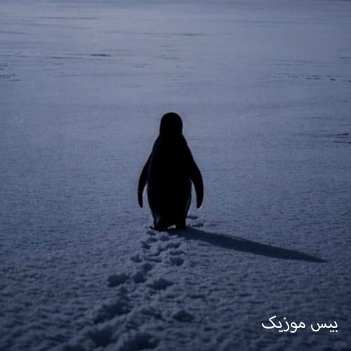 دانلود آهنگ خره من نمیدم دیس به تو که فضولی نکن هیس به توچه از تی ام