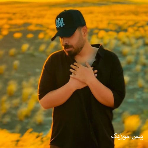 دانلود آهنگ دیگه دوستت ندارم از شاهان