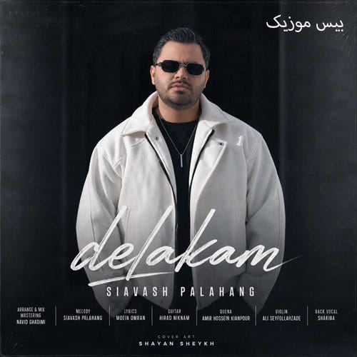 دانلود آهنگ دلکم از سیاوش پالاهنگ