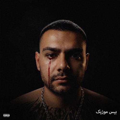دانلود آهنگ دوسم نداشتی از علی پاشا دانلود آهنگ دوسم نداشتی از علی پاشا