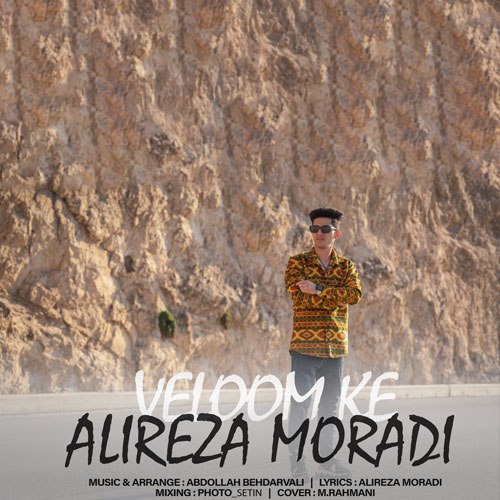 دانلود آهنگ ولم که از علیرضا مرادی