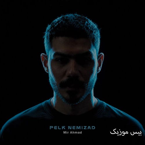 دانلود آهنگ پلک نمیزد از میر احمد