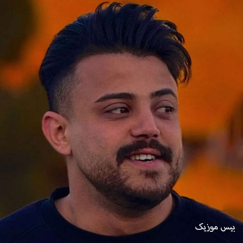 دانلود آهنگ مثل یه پرنده که همه پراشو چیدن از محمد ملایی