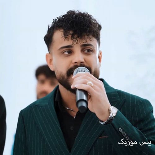 دانلود آهنگ وفای بی وفایان کرده پیروم برم یار وفاداری بگیرم از محمد ملایی