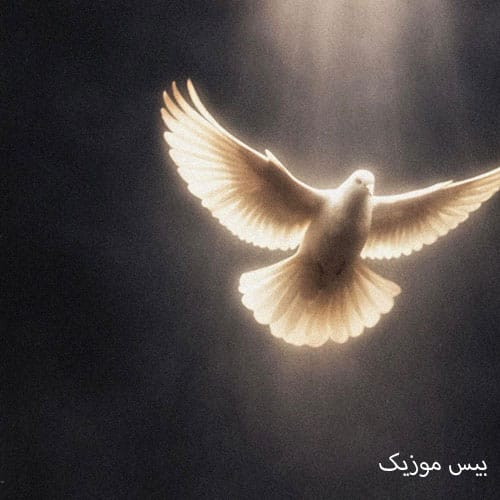 دانلود آهنگ بلاد گنگ از ویناک