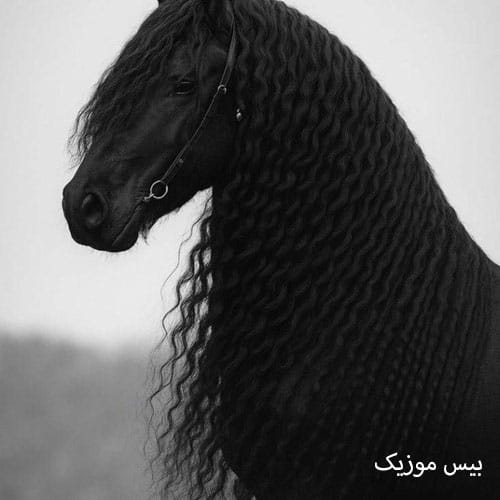 دانلود آهنگ برنو بر دوش بگردم کوه و صحرا از مهسا خسروانی