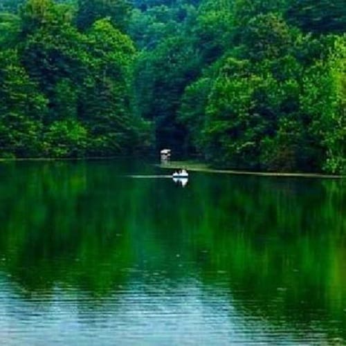 دانلود آهنگ دریاچه نور از فرووال (هوش مصنوعی)
