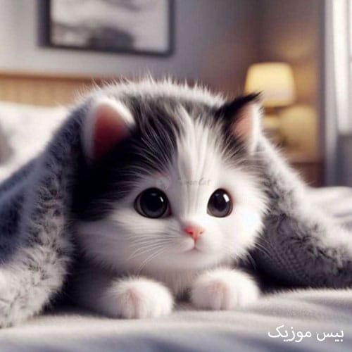 دانلود آهنگ جنگ اعصابو شکنجه قلبم با مغزم لجه بیا برس به دادم