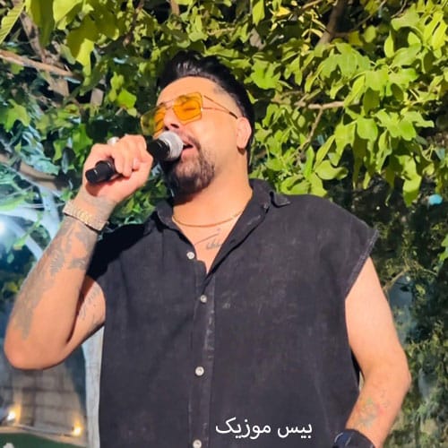 دانلود آهنگ عاشقتم گلم کفتر کاکلم از سعید کریمی
