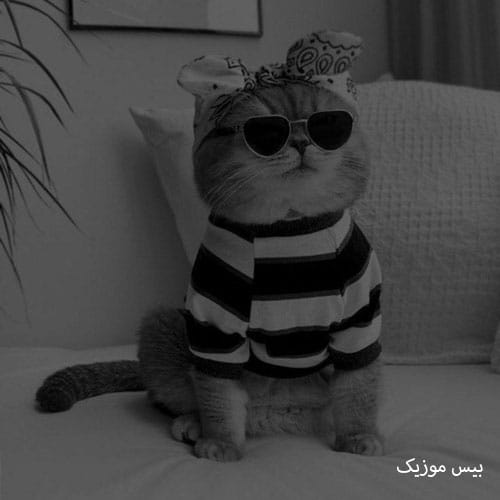 دانلود آهنگ توف به پول توف به ماشین لاشی