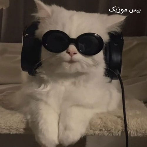 دانلود آهنگ الو دلبر سلام تی پشته خطیمه از علی حمیدی