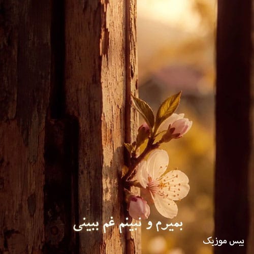 دانلود آهنگ چمه قشنگ یاری را بمرم زمستون بهاری را بمرم هوش مصنوعی