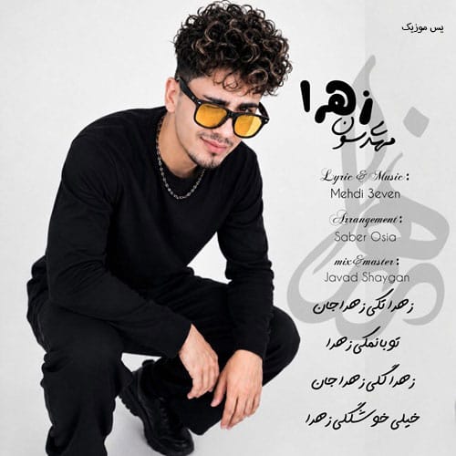 دانلود آهنگ زهرا از مهدی سون