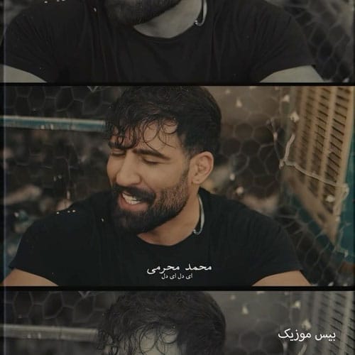 دانلود آهنگ ای دل ای دل از محمد محرمی