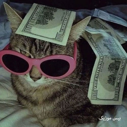 دانلود آهنگ اوه نه نه از رها