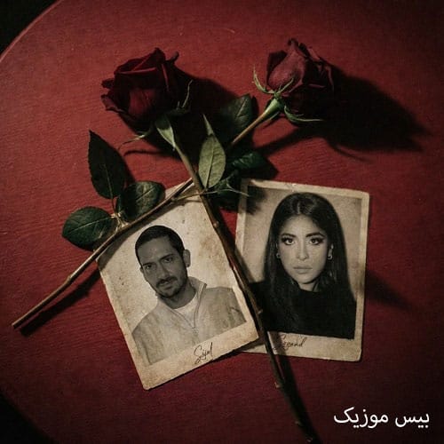 دانلود آهنگ شاخه گل از سوگند و سیجل