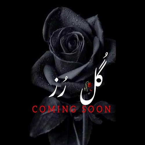 دانلود آهنگ گل رز از محمد پتی آبادی