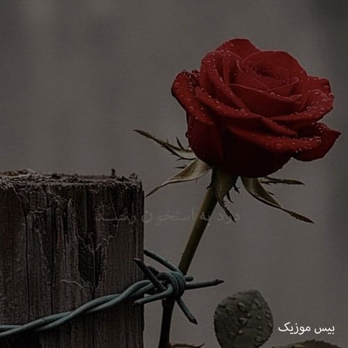 دانلود آهنگ درد به استخون رسید غم به رگ و جونم رسید