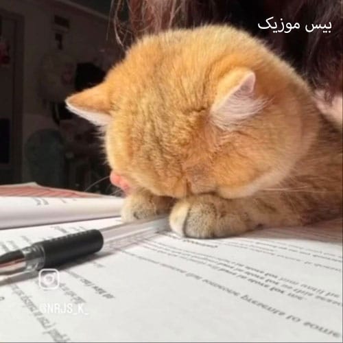 دانلود آهنگ درون قهوه گاهی غم بریزم