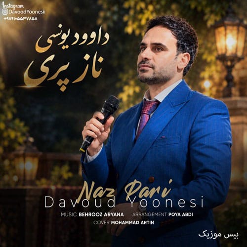 دانلود آهنگ ناز پری از داوود یونسی