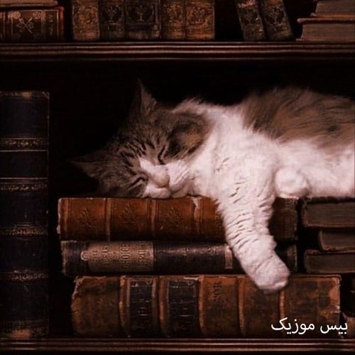 دانلود آهنگ خوبه بهت میاد یکم گشاده این چی خوبه داره افاده