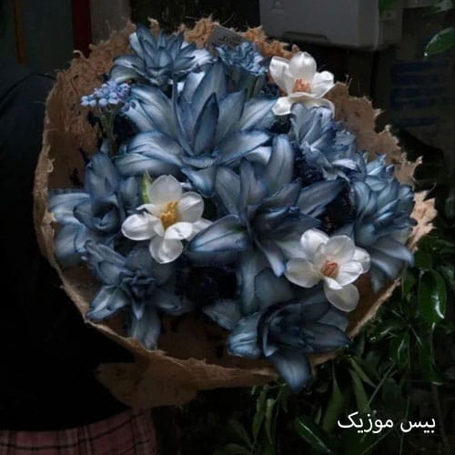 دانلود آهنگ میگی لاو یو متوجهم ولی دختر با نمک پر زخمم