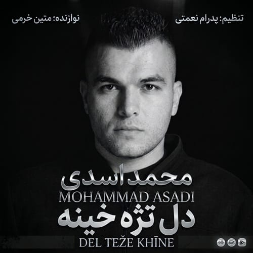 دانلود آهنگ دل تژه خینه از محمد اسدی دانلود آهنگ دل تژه خینه از محمد اسدی