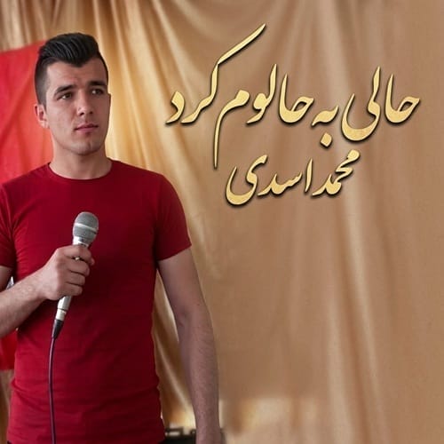 دانلود آهنگ حالی به حالوم کرد از محمد اسدی