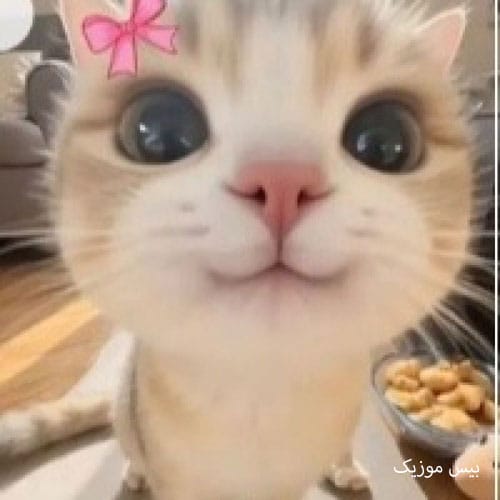 دانلود آلبوم فمورا از سارن