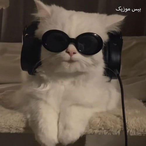 دانلود آهنگ خدافظ عشق قدیمی من بهترین دوست صمیمی من از سمی لون