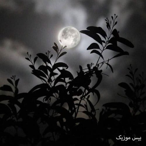 دانلود آهنگ شیک کن از یانگ نوید