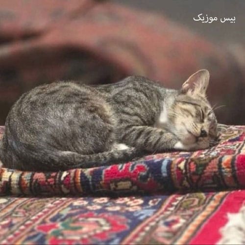 دانلود آهنگ توبه از یانگ صادن