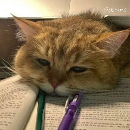 دانلود آهنگ قلب داداش از یوسف آران